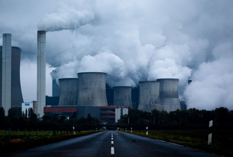 Активисты-экологи требуют от компаний раскрыть углеродные планы