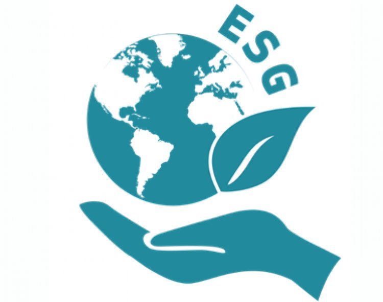 Минэкономразвития призывает компании активнее включаться в процесс ESG-трансформации