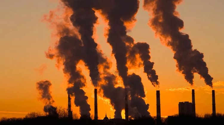 Инвестиционные фонды хотят вдвое сократить выбросы CO2 к 2030 году