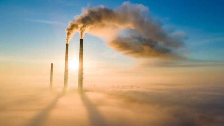 "Гринпис" обвинил TotalEnergies в занижении парниковых выбросов