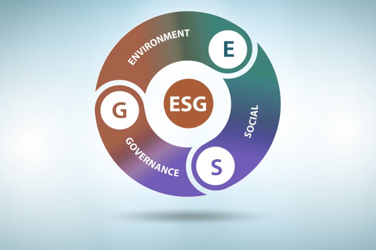 ЦБ: ESG-рейтинги должны быть наглядны, прозрачны и сопоставимы между собой