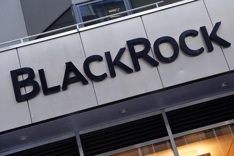 BlackRock резко сократила поддержку ESG-проектов
