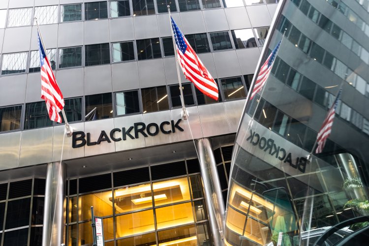 BlackRock уволит около 600 сотрудников работающих в ESG-сегменте