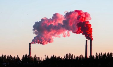 Декарбонизация промышленности: экологическая стратегия и низкоуглеродное развитие