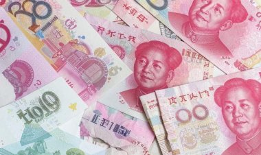 Особенности корпоративного управления компанией с ограниченной ответственностью в Китае