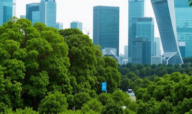 Гринхашинг: когда скромность неуместна?