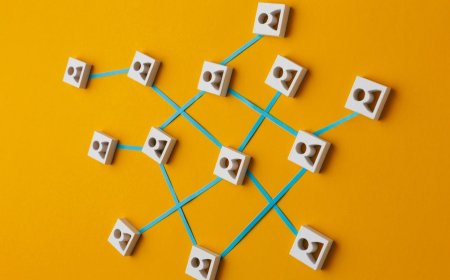 Дробление бизнеса и налоговая амнистия: как все правильно сделать?